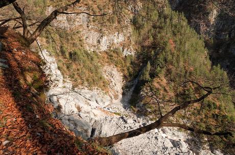 FORCELLA LODINA e il guardiano del Duranno