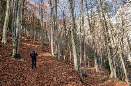 FORCELLA LODINA e il guardiano del Duranno