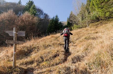 FORCELLA LODINA e il guardiano del Duranno