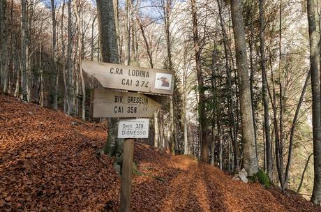 FORCELLA LODINA e il guardiano del Duranno