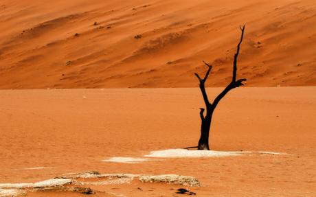 Sousselvlei e Dead Vlei