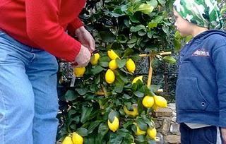 TRA PARENTESI ovvero DIVIDERSI TRA PARENTESI ovvero DIVIDERSI