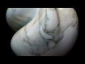 Emanuele Rubini dedica al mondo LA SFERA nuova opera in marmo Carrara statuario