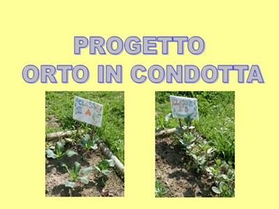 Progetto Orto in Condotta