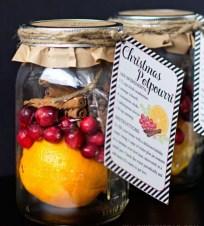 Profumatore d'ambiente home made 1 Regalo di Natale last minute