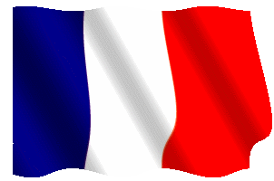 Bandiera_animata_flag_Francia_navale