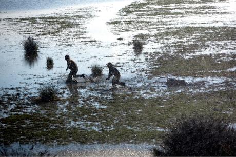 Al Cinema: recensione Cinema: recensione Isla Minima