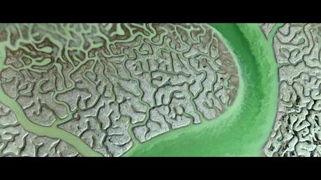 Al Cinema: recensione Cinema: recensione Isla Minima