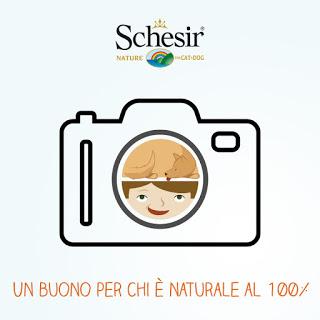 Per tutti i cuccioli solo il meglio... Per tutti i cuccioli solo il meglio...