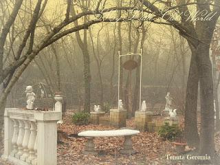 Secret tales from a misty garden.