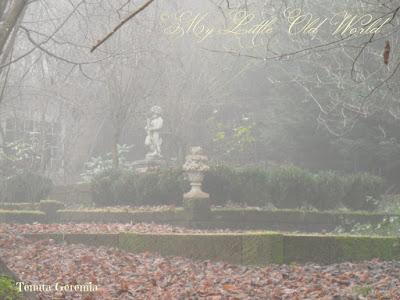 Secret tales from a misty garden.