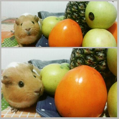 BUON 2016: PER UN ANNO RICCO DI NUOVE ESPERIENZE, DI GIOIE E DI SODDISFAZIONI! BUON 2016: PER UN ANNO RICCO DI NUOVE ESPERIENZE, DI GIOIE E DI SODDISFAZIONI!