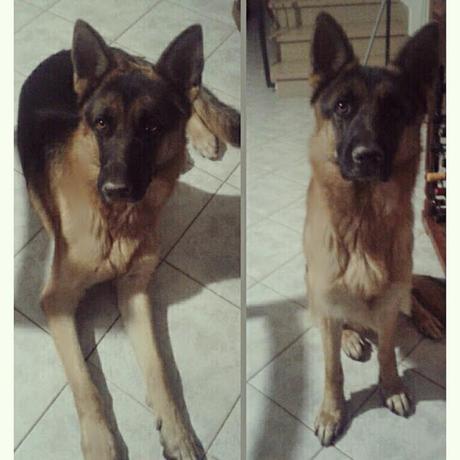 BUON 2016: PER UN ANNO RICCO DI NUOVE ESPERIENZE, DI GIOIE E DI SODDISFAZIONI! BUON 2016: PER UN ANNO RICCO DI NUOVE ESPERIENZE, DI GIOIE E DI SODDISFAZIONI!