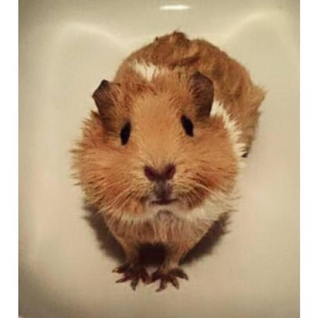 BUON 2016: PER UN ANNO RICCO DI NUOVE ESPERIENZE, DI GIOIE E DI SODDISFAZIONI! BUON 2016: PER UN ANNO RICCO DI NUOVE ESPERIENZE, DI GIOIE E DI SODDISFAZIONI!