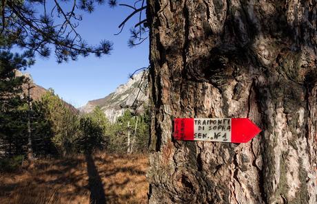 MONTE CRETO' e i presepi di Poffabro