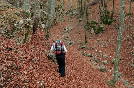 MONTE CRETO' e i presepi di Poffabro