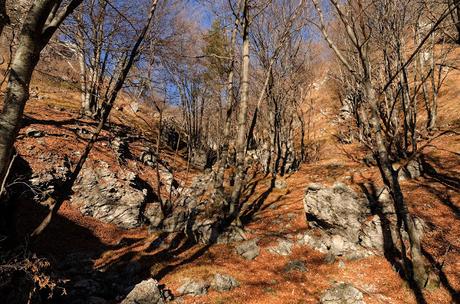 MONTE CRETO' e i presepi di Poffabro