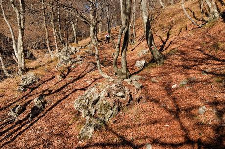 MONTE CRETO' e i presepi di Poffabro