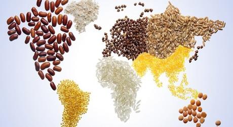 Sicurezza alimentare: una sfida per l’Africa