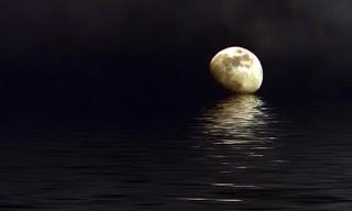 Si Ritorna in Pista! Si Ritorna in Pista!