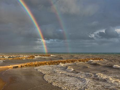 Titiritrillo Titiritrillo