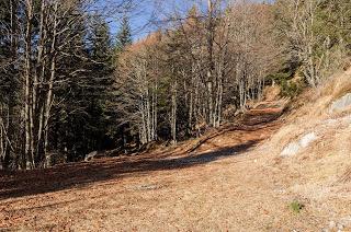 MONTE TALM : per chi suona la campana ?