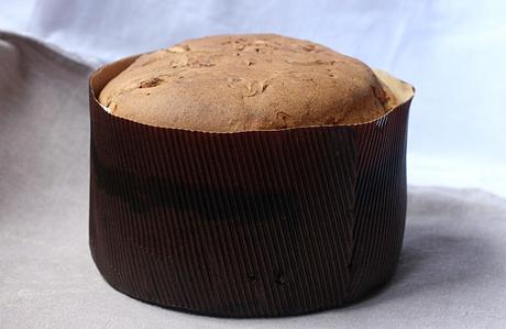 Panettone gastronomico 3