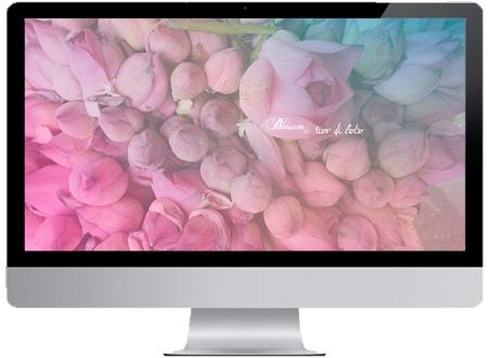 Savescreen floreali in download gratuito su Blossom zine