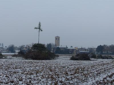 Zîr dai arborâs 2016