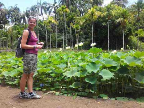 Un’altra Mauritius: i Giardini di Pamplemousses
