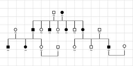 Alberi genealogici: come si distingue una malattia autosomica dominante da una recessiva