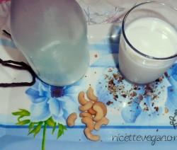 ricettevegan.org - latte di anacardi