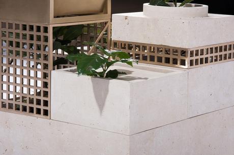 DESIGN: La sopravvivenza delle piante | Plantscape