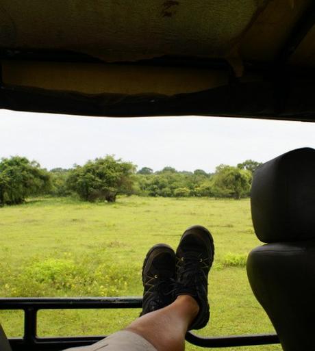 Yala National Park tra Elefanti, Leopardi e Pavoni. Viaggio in Sri Lanka