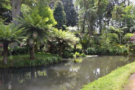 Una giornata a FURNAS