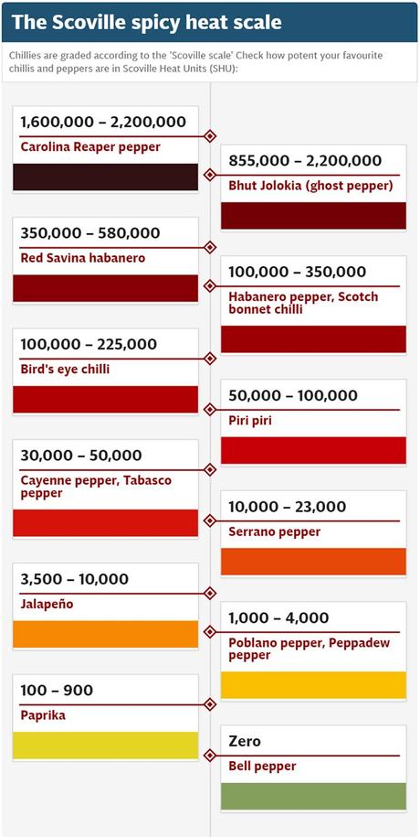 Il doodle di Google di oggi è per i peperoncini di Wilbur Scoville peperoncini scoville piccantezza