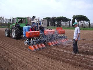 Controllare la flora spontanea senza erbicidi? Si può ed è vantaggioso - I risultati di 20 anni di ricerca dell’università di Pisa