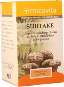 shiitake compresse