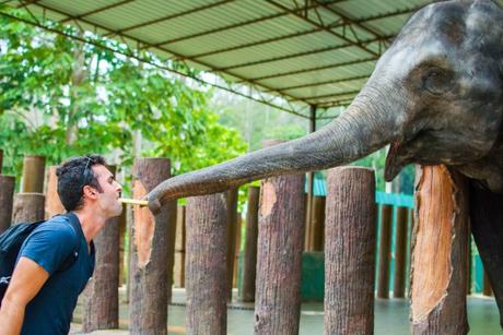 Dando da mangiare a un elefante in Malesia durante il American Youth Leadership Program (AYLP).