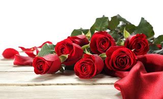 l'emergenza Xylella, stop alle rose nei vivai settore sempre più colpito La pianta simbolo dell'amore non potrà essere venduta nei garden della provincia