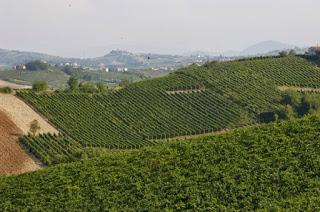 BRONI. nuova guida Strada Vino Sapori dell'Oltrepò Pavese