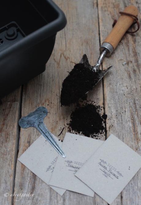 cosa seminare in vaso a gennaio ingredienti