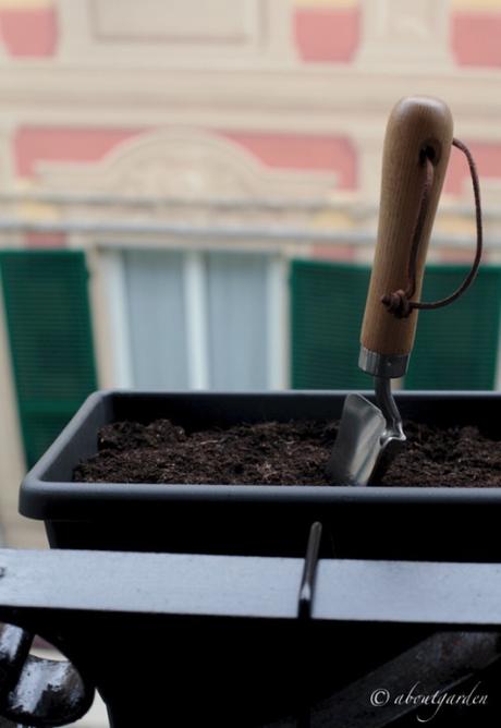 cosa seminare in vaso a gennaio buona terra da giardino