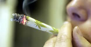 Marijuana legale negli Usa provoca un calo dei guadagni dei cartelli della droga