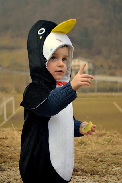 Carnevale 2016: un pinguino elegante