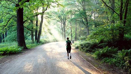 morning run @Tiergarten