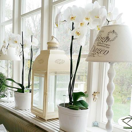 Nordic style…a casa di Anne Nordic style…a casa di Anne