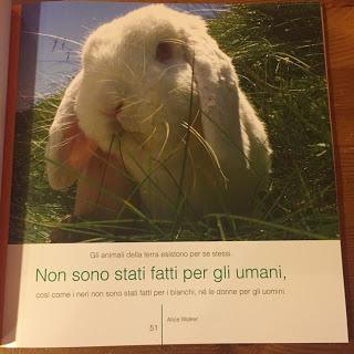 Il libro di Yogurt e la bella iniziativa di Romy