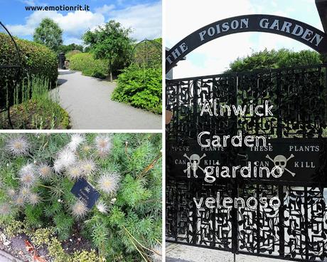 Viaggio in Inghilterra: visitare giardini di piante velenose