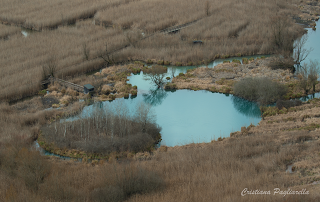 La foto della domenica 14/02/2016